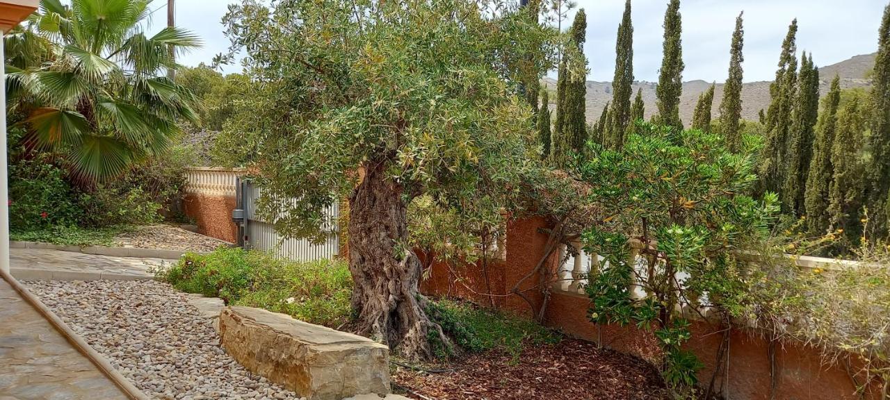 Villa Casa Kenaz El Campello Exteriör bild
